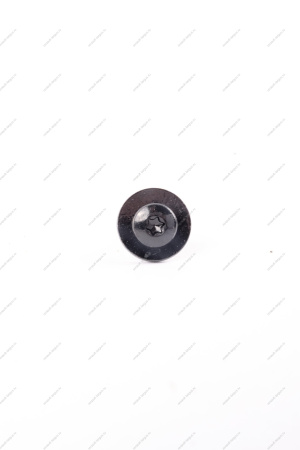 Винт LADA Largus/Лада Ларгус/ Vesta/ XRAY крепления щитка Renault