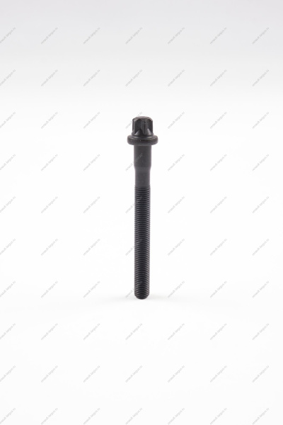 Болт головки блока цилиндров М10х1,25х98 ( нужно 10 шт) Lada Largus двигат (P4M) 21129 Lada