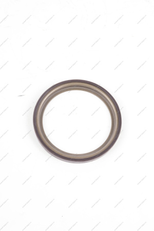 Кольцо магнитное АБС LADA Largus Renault