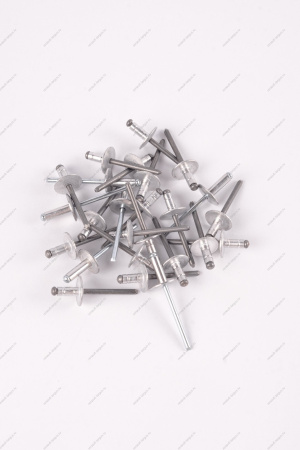 Заклепка RENAULT Logan/Рено Логан 2014- d=4,8мм Renault