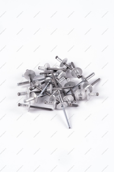 Заклепка RENAULT Logan/Рено Логан 2014- d=4,8мм Renault