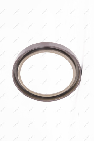 Кольцо Lada Vesta/Xray/Logan 2014- магнитное ABS (маленькое) тормозного барабана Renault