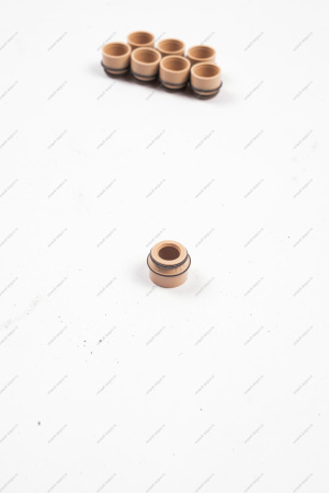 Колпачок ВАЗ-2108 маслоотражательный клапана с пружиной (КОМПЛЕКТ 8шт.в упаковке) Lada