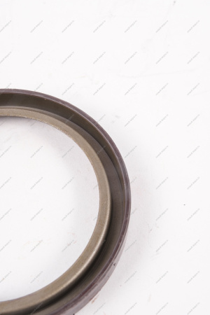 Кольцо Lada Vesta/Xray/Logan 2014- магнитное ABS (маленькое) тормозного барабана Renault