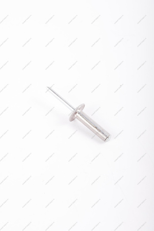 Заклепка(метал) крепления моторредуктора RENAULT Sandero/Logan Renault