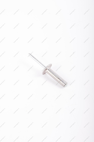 Заклепка(метал) крепления моторредуктора RENAULT Sandero/Logan Renault