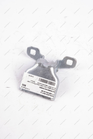 Петля двери (мет) Lada Largus/Renault Logan 04-13/ XRAY верхняя/нижняя Renault