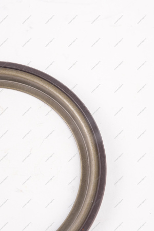 Кольцо магнитное АБС LADA Largus Renault