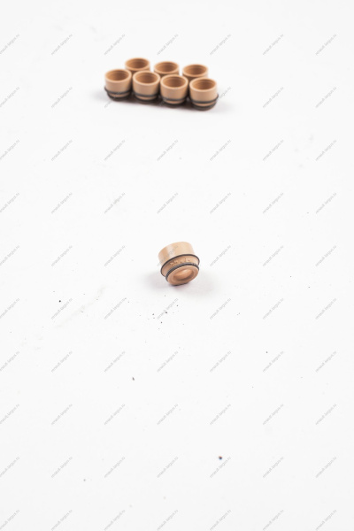 Колпачок ВАЗ-2108 маслоотражательный клапана с пружиной (КОМПЛЕКТ 8шт.в упаковке) Lada