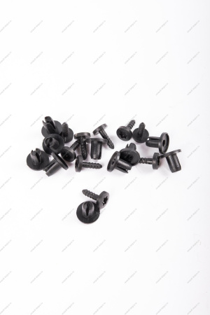 Заклепка RENAULT Logan/Рено Логан/ XRAY (пистон крепления молдинга) К-Т 10 шт 30884 ASAM-SA