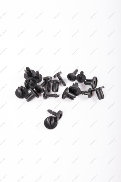 Заклепка RENAULT Logan/Рено Логан/ XRAY (пистон крепления молдинга) К-Т 10 шт 30884 ASAM-SA